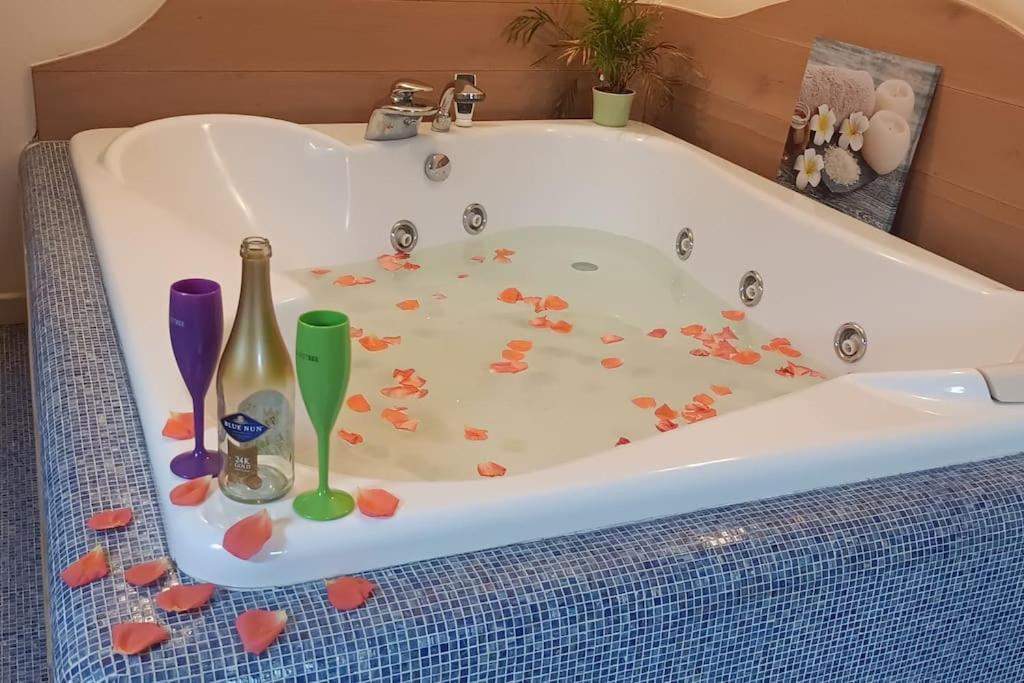 Central Terrace Escape With Jacuzzi Timisoara Luaran gambar
