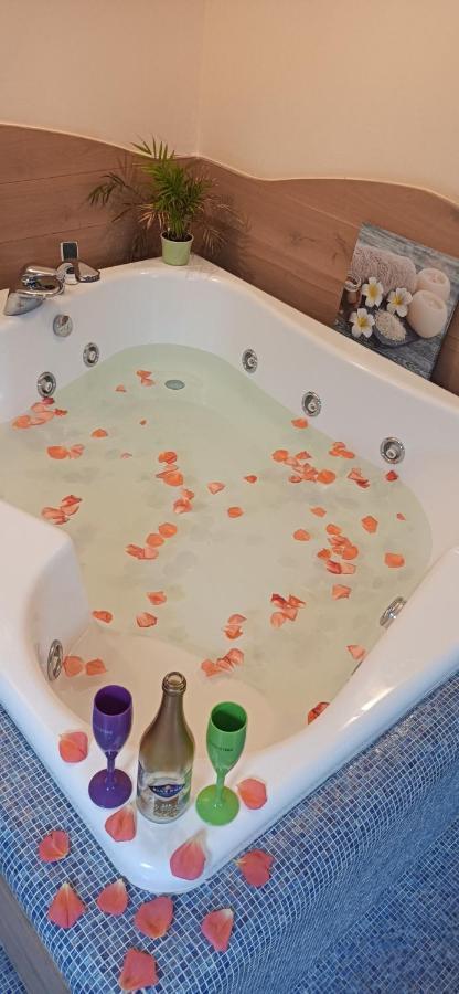 Central Terrace Escape With Jacuzzi Timisoara Luaran gambar