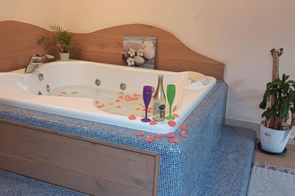 Central Terrace Escape With Jacuzzi Timisoara Luaran gambar